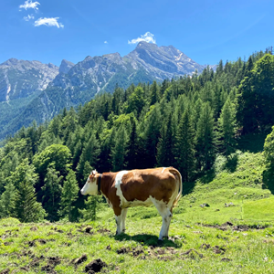 Testprodukte13-9900000000028a3c